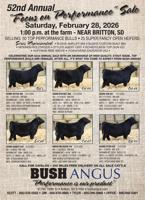 BUSH ANGUS - Ad from 2026-02-20