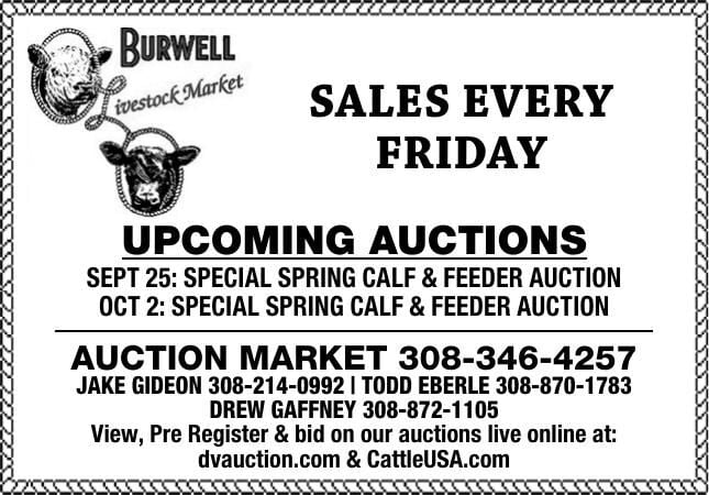 Burwell Livestock Market