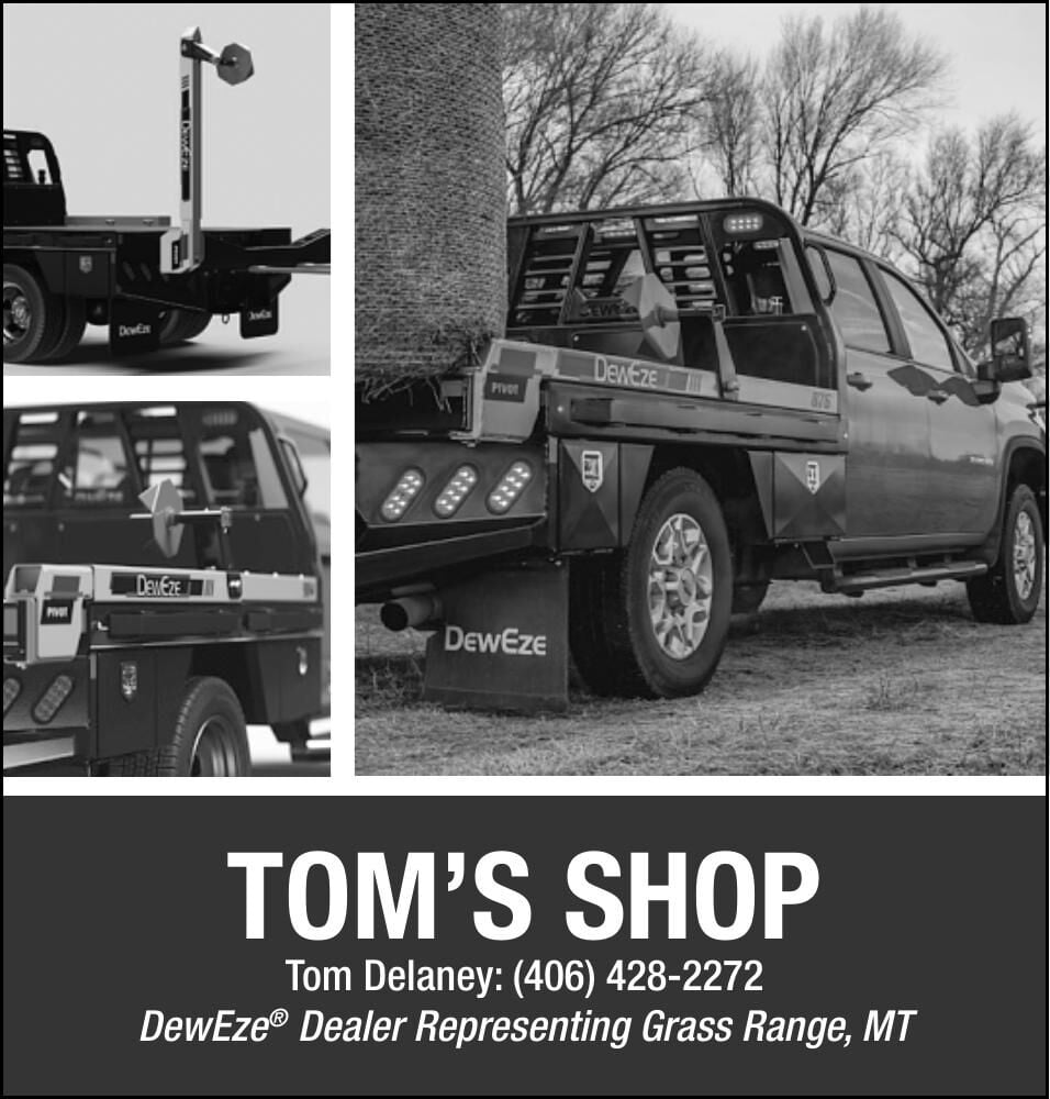 TOMS SHOP - Ad from 2026-05-15