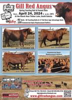 GILL RED ANGUS - Ad from 2024-04-19