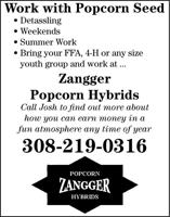 Zangger Popcorn Hybrids - Ad from 2024-05-17