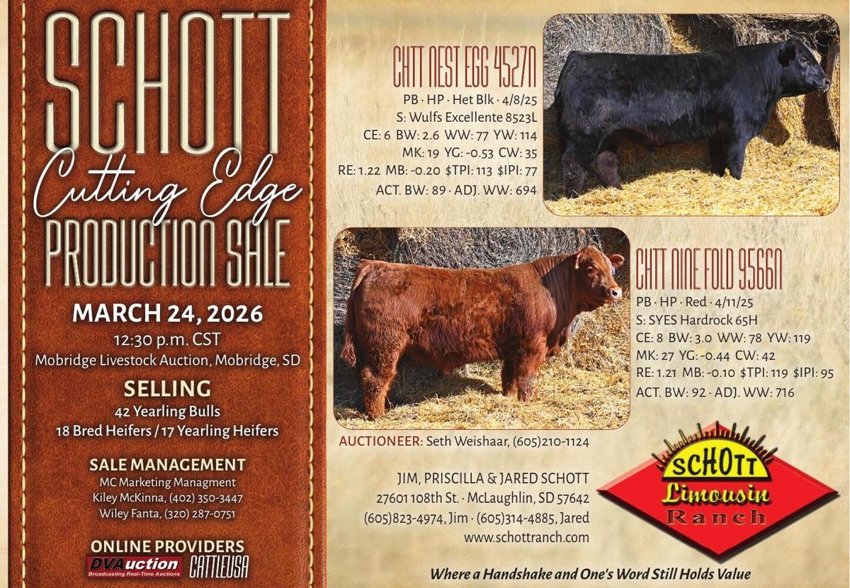 Schott Limousin Ranch - Ad from 2026-03-06