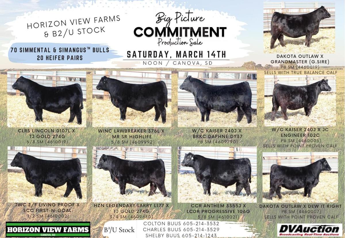 Horizon View Farms - Ad from 2026-03-06