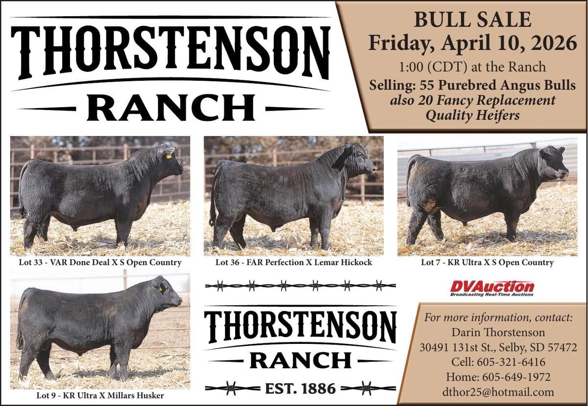 THORSTENSON HEREFORD - Ad from 2026-04-03