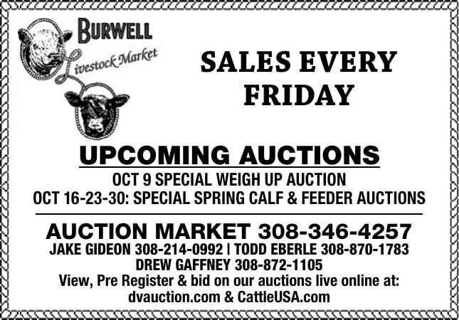 Burwell Livestock Market