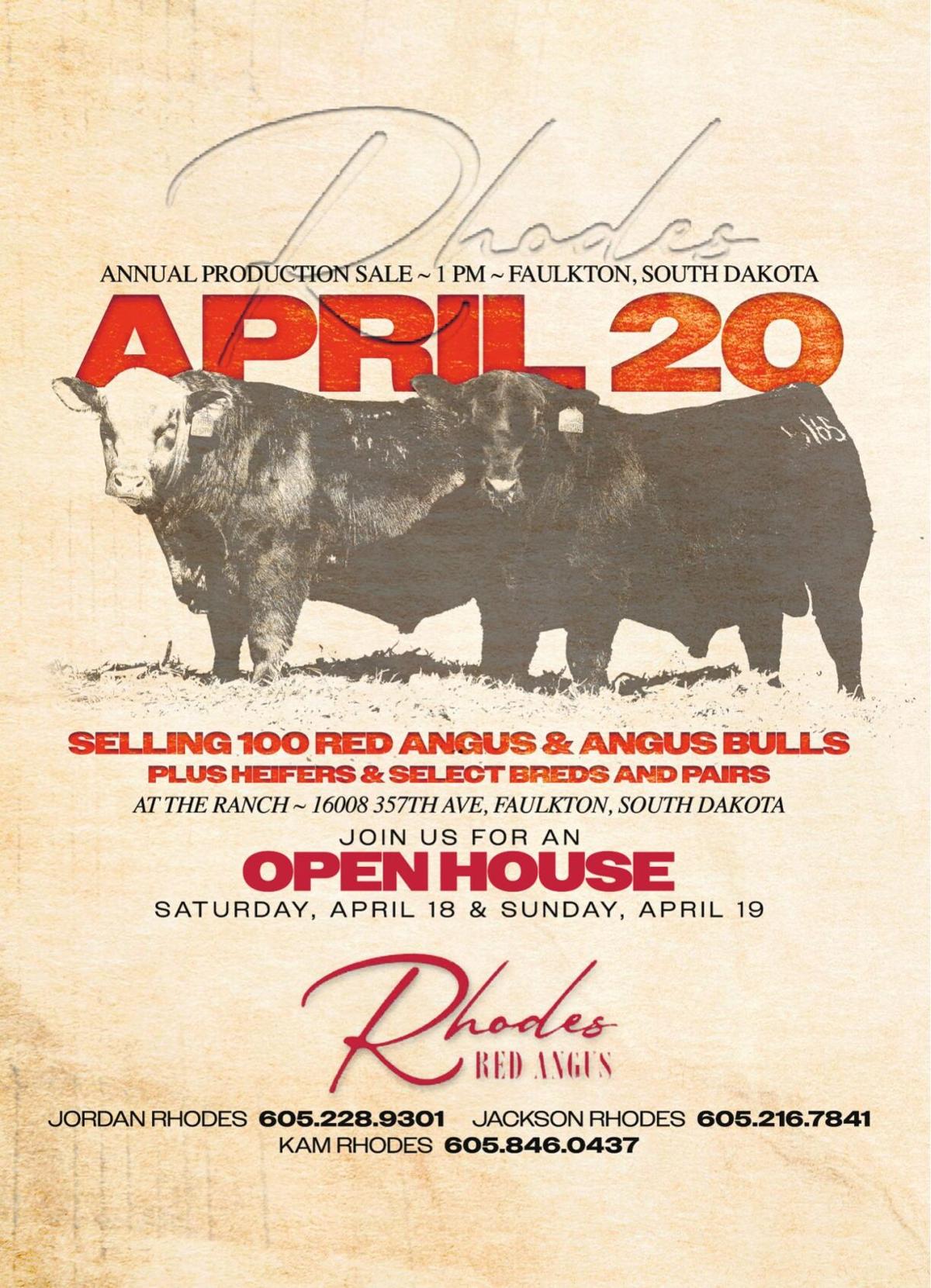 RHODES RED ANGUS - Ad from 2026-04-03