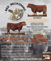 KYLE GILCHRIST AUCTION - Ad from 2026-03-14
