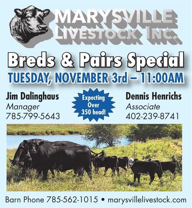 MARYSVILLE LIVESTOCK INC