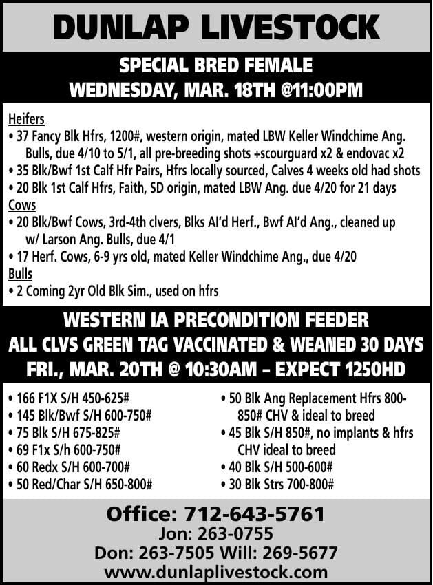 Dunlap Livestock Auction