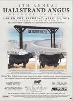HALLSTRAND ANGUS - Ad from 2026-04-09