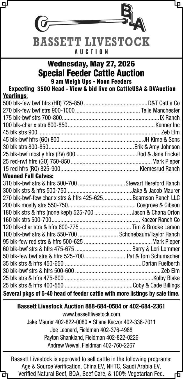 Bassett Livestock Auction