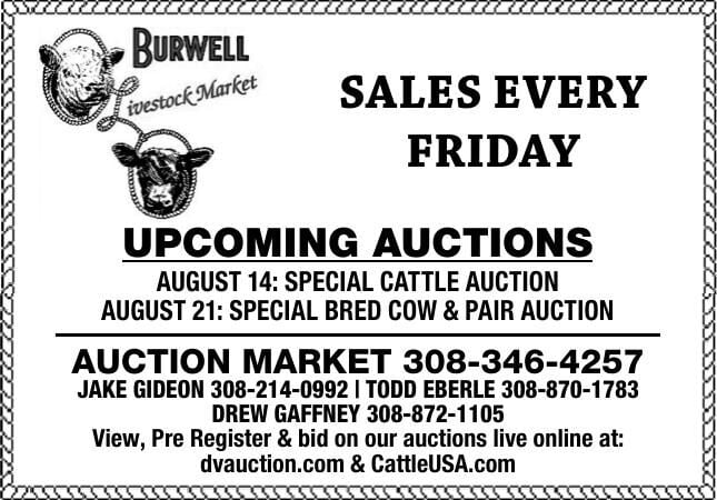 Burwell Livestock Market