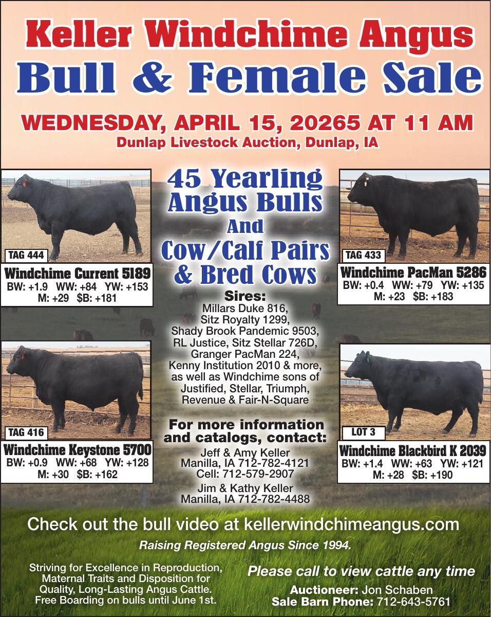 KELLER WINDCHIME ANGUS LLC - Ad from 2026-03-20