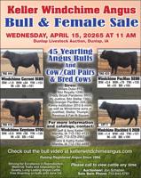 KELLER WINDCHIME ANGUS LLC - Ad from 2026-03-20