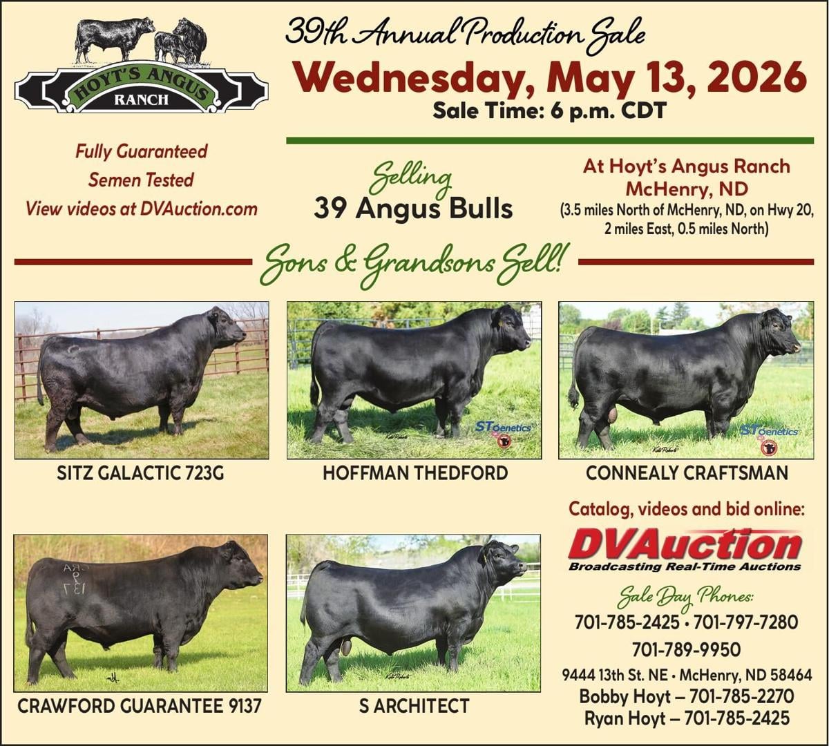 HOYT ANGUS RANCH - Ad from 2026-05-01