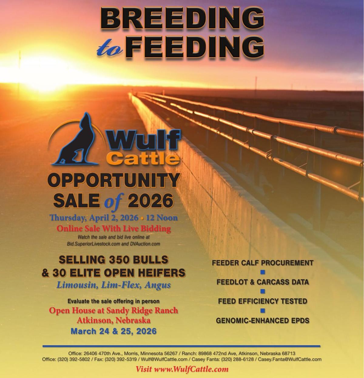 Wulf Cattle - Ad from 2026-03-13