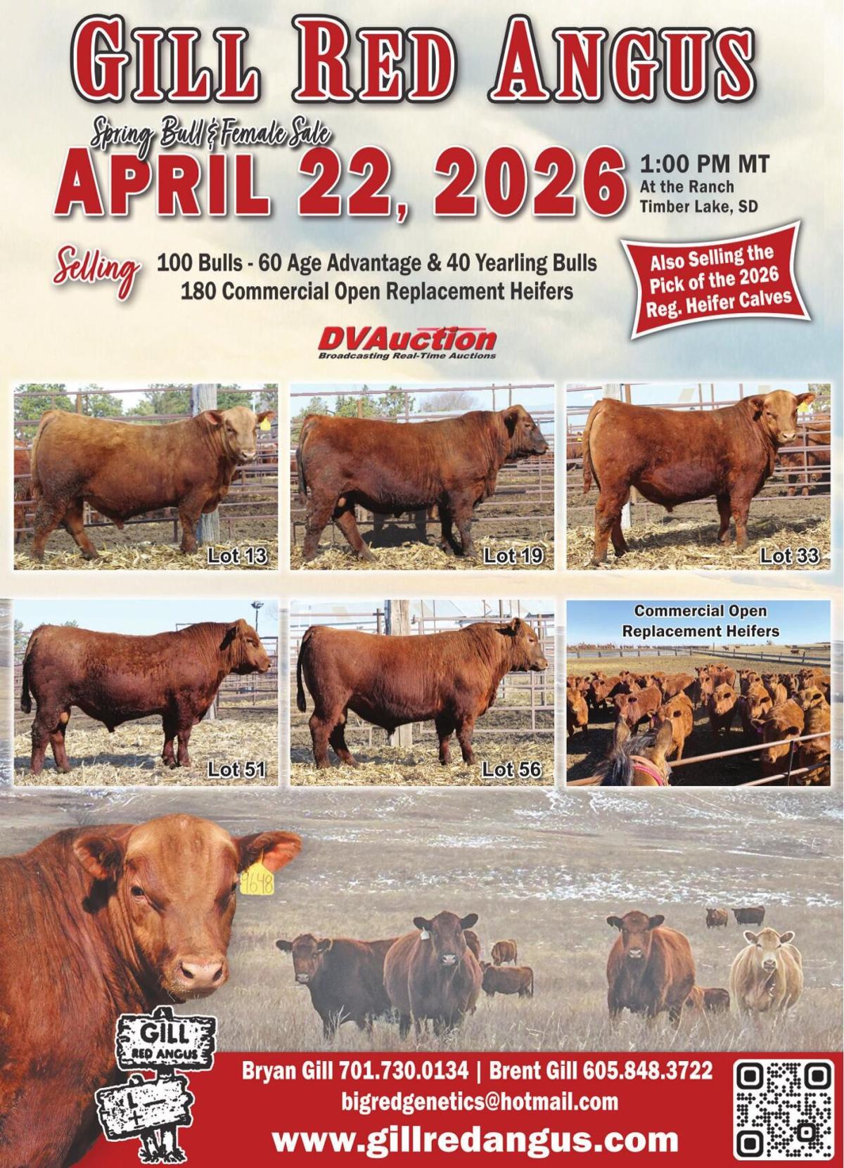 GILL RED ANGUS - Ad from 2026-04-03