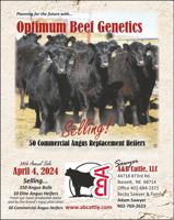 A & B CATTLE COMPANY - Ad from 2024-03-29