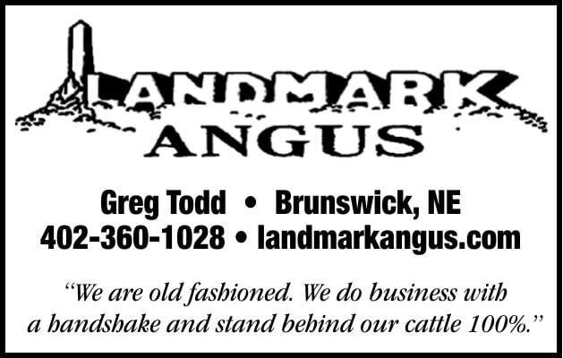 LANDMARK ANGUS - Ad from 2026-04-03