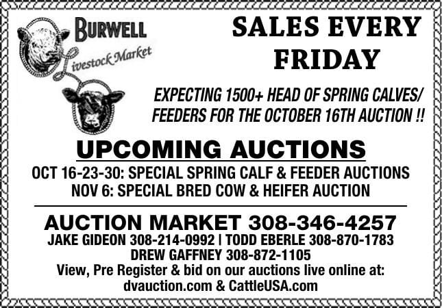 Burwell Livestock Market