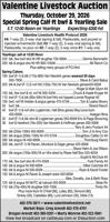 VALENTINE LIVESTOCK AUCTION