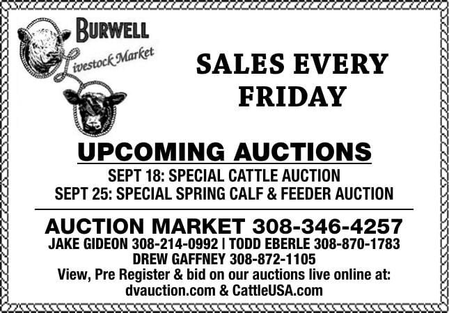 Burwell Livestock Market