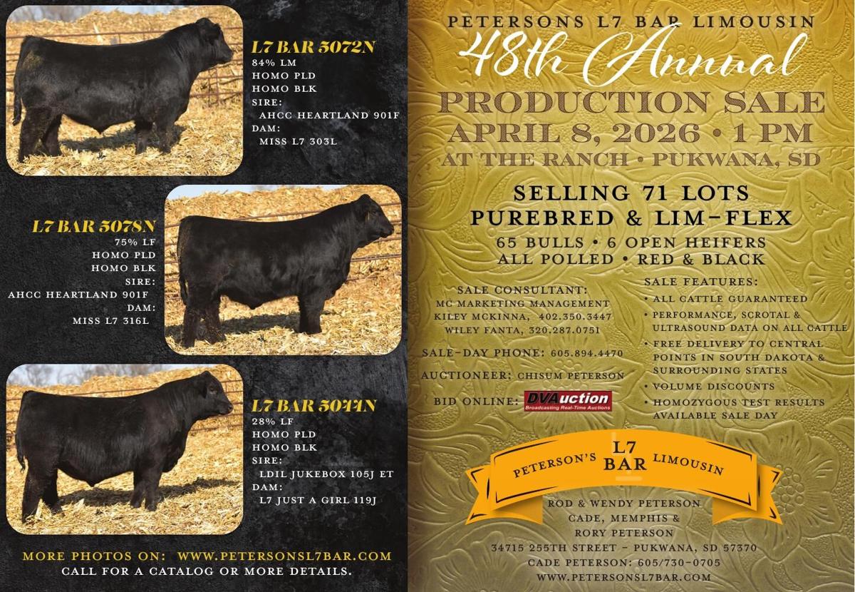 Petersons L7 - Ad from 2026-04-03