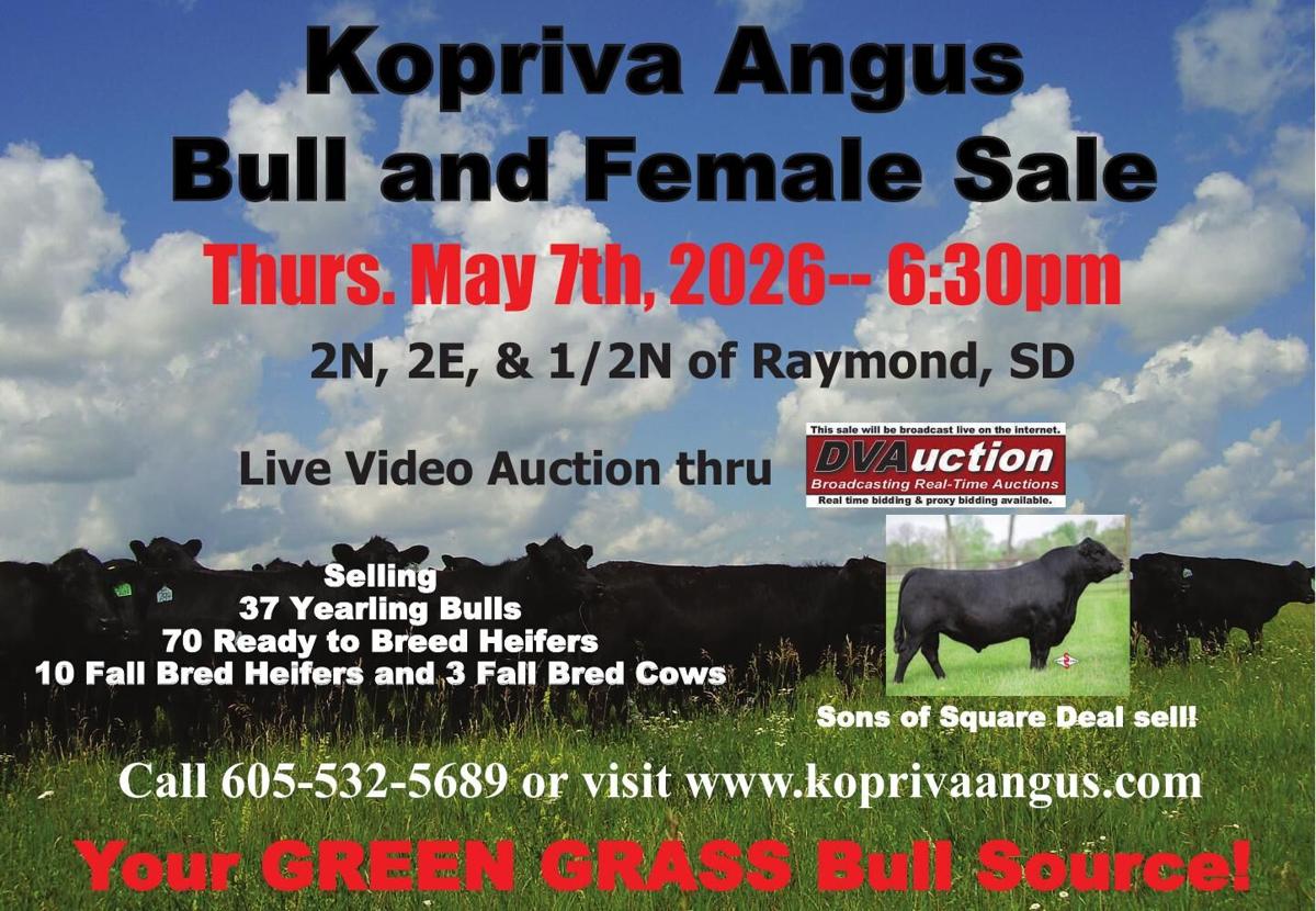 KOPRIVA ANGUS - Ad from 2026-04-17
