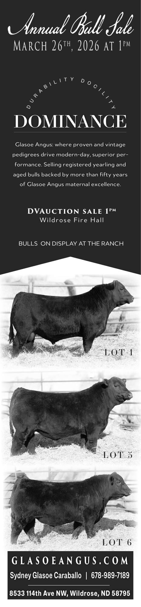 GLASOE ANGUS - Ad from 2026-03-20