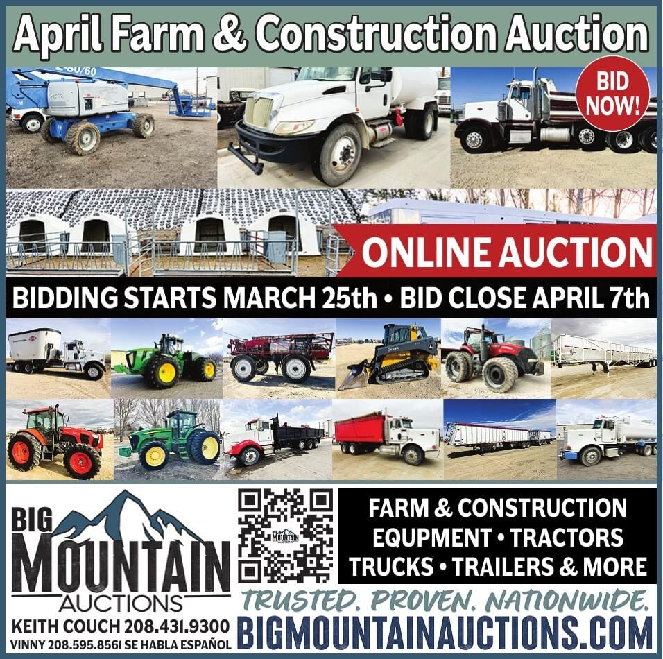 Big Mountain Auctions - Ad from 2026-04-03