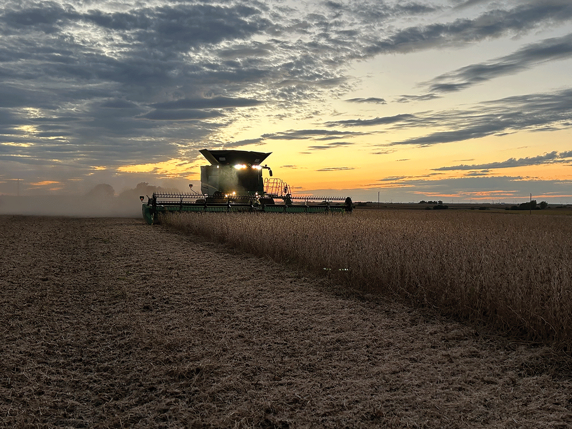 combine in corn field at sunset