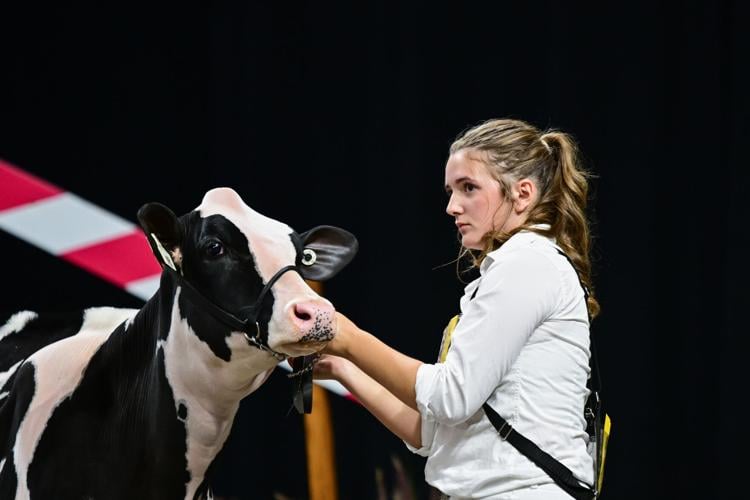 World Dairy Expo 2025