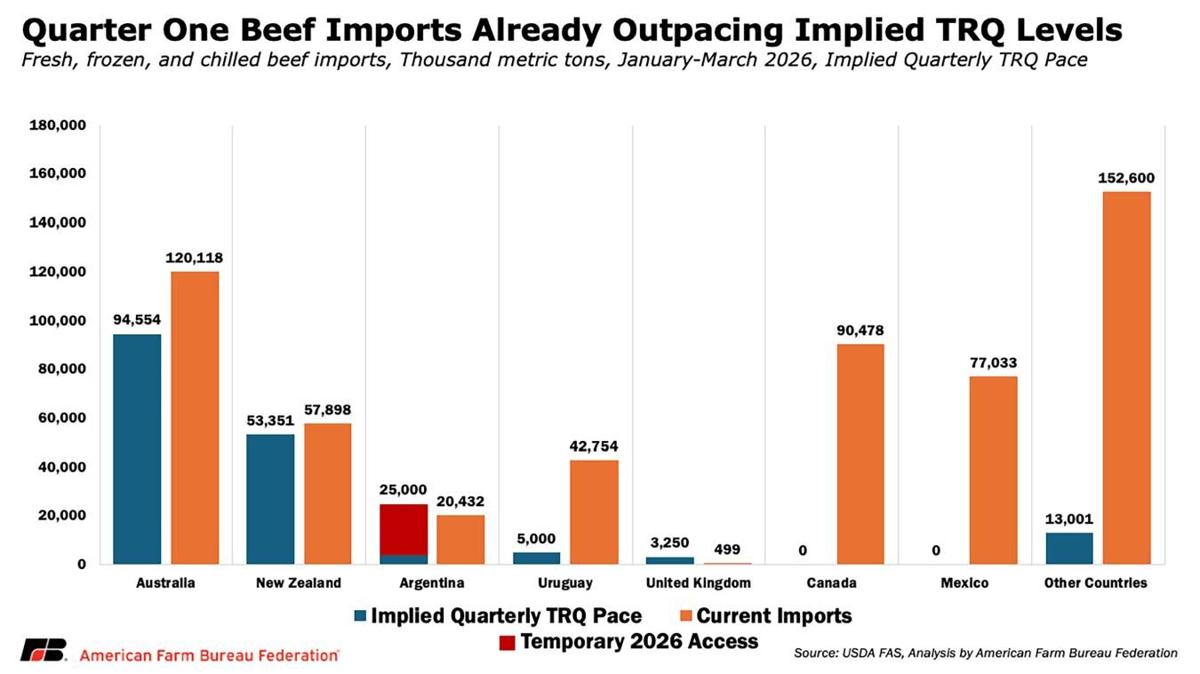 Beef imports