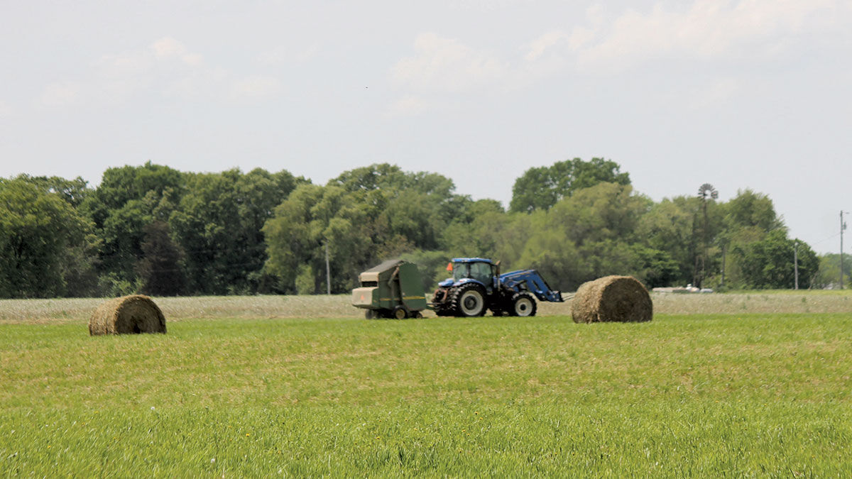 hay harvest
