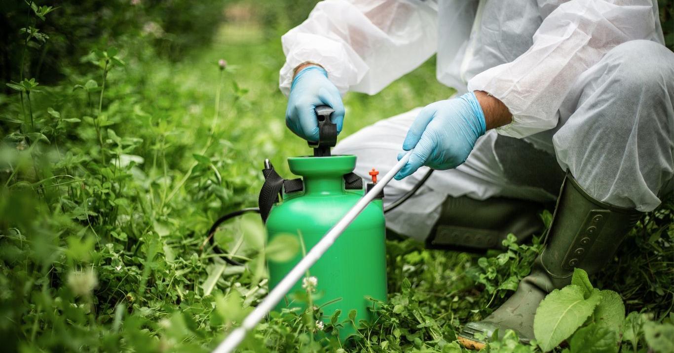 Stay safe by reading, understanding pesticide labels - Vimarsana News