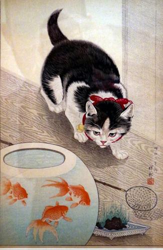 Cat with goldfish