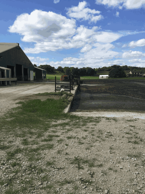 Manure pit