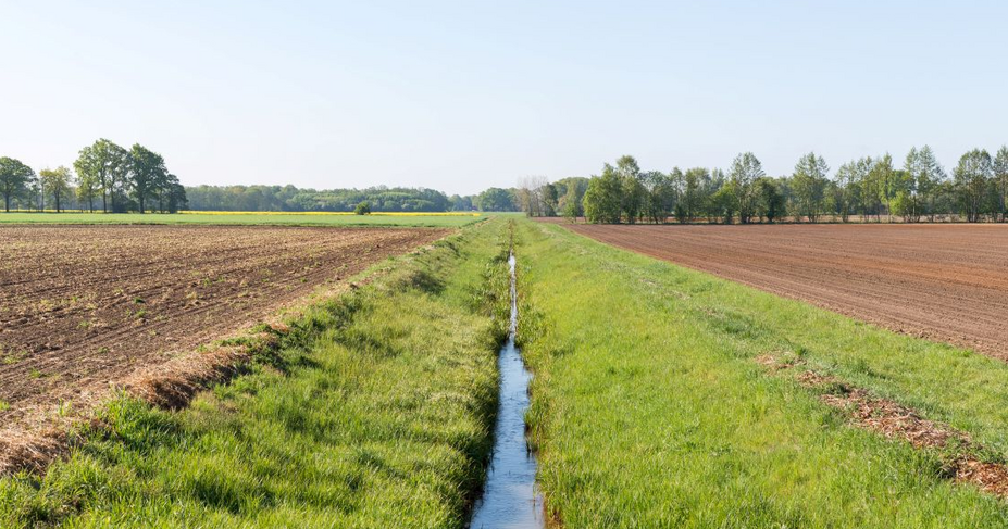 Researchers untangle drivers of nitrogen loss