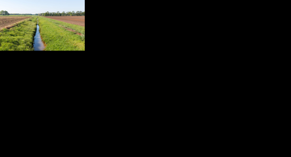 Researchers untangle drivers of nitrogen loss