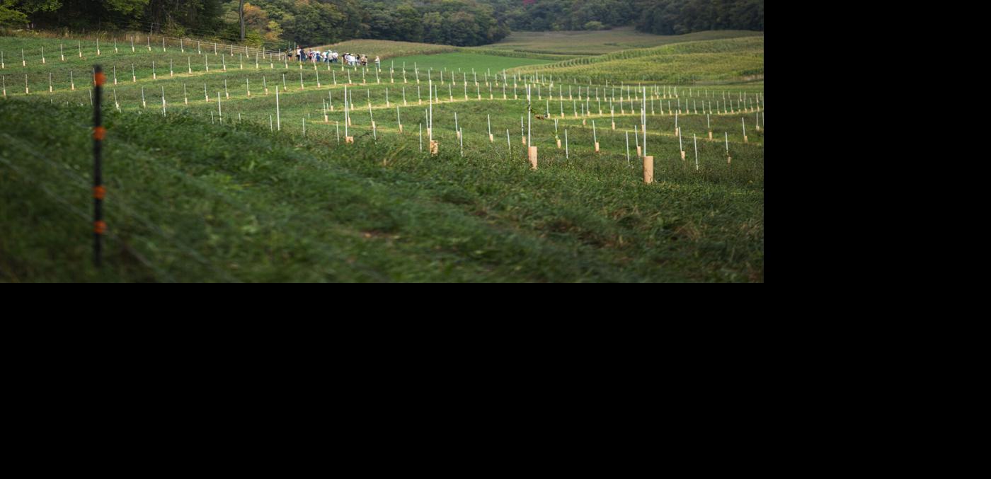 Savanna Institute demonstration farm