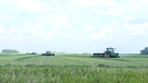 Hay harvest