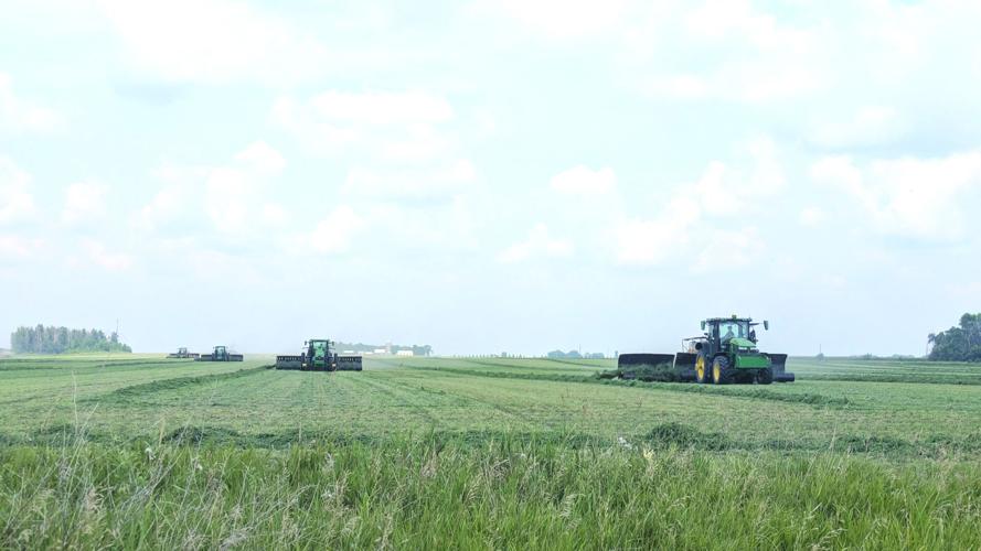 Hay harvest