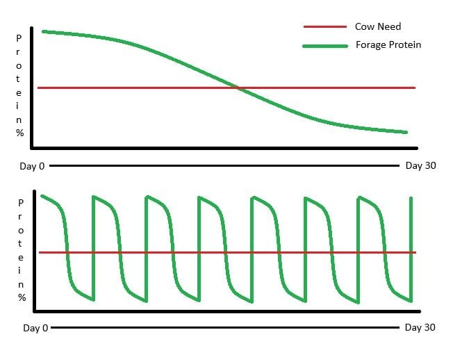 Mason dormant stockpile grass graph