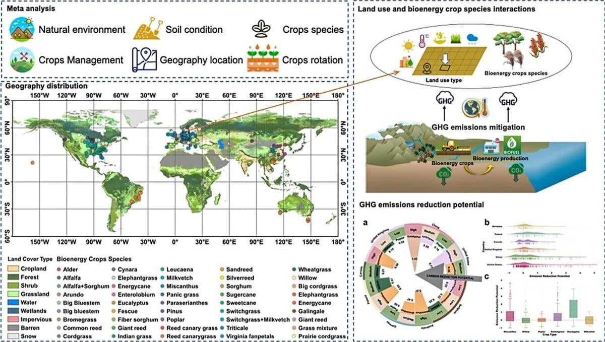 Bioenergy study graphic