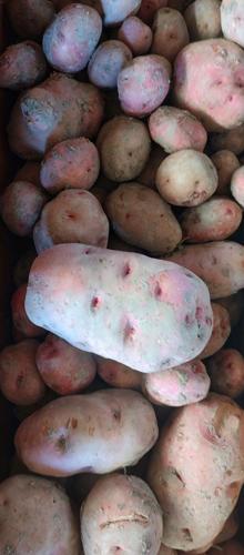 Johnson farm on ‘downhill side’ of fall planting