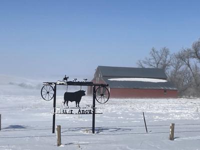 Major Milestone: South Dakota family celebrates 100 years raising Angus cattle