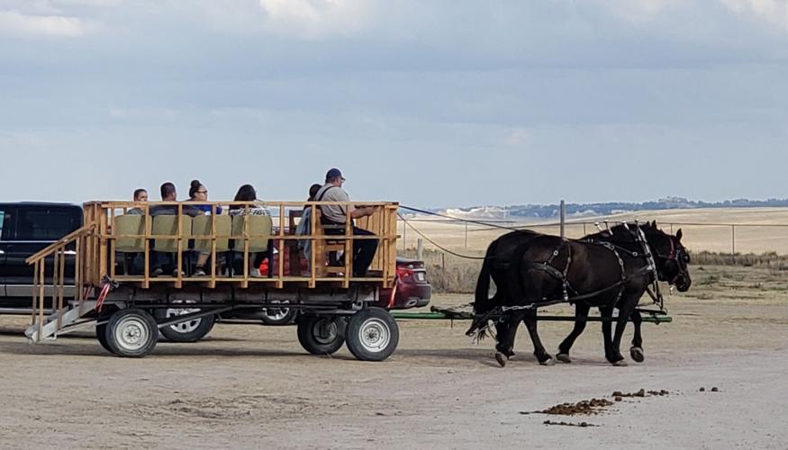 8 --20221001_155054 (002).jpg