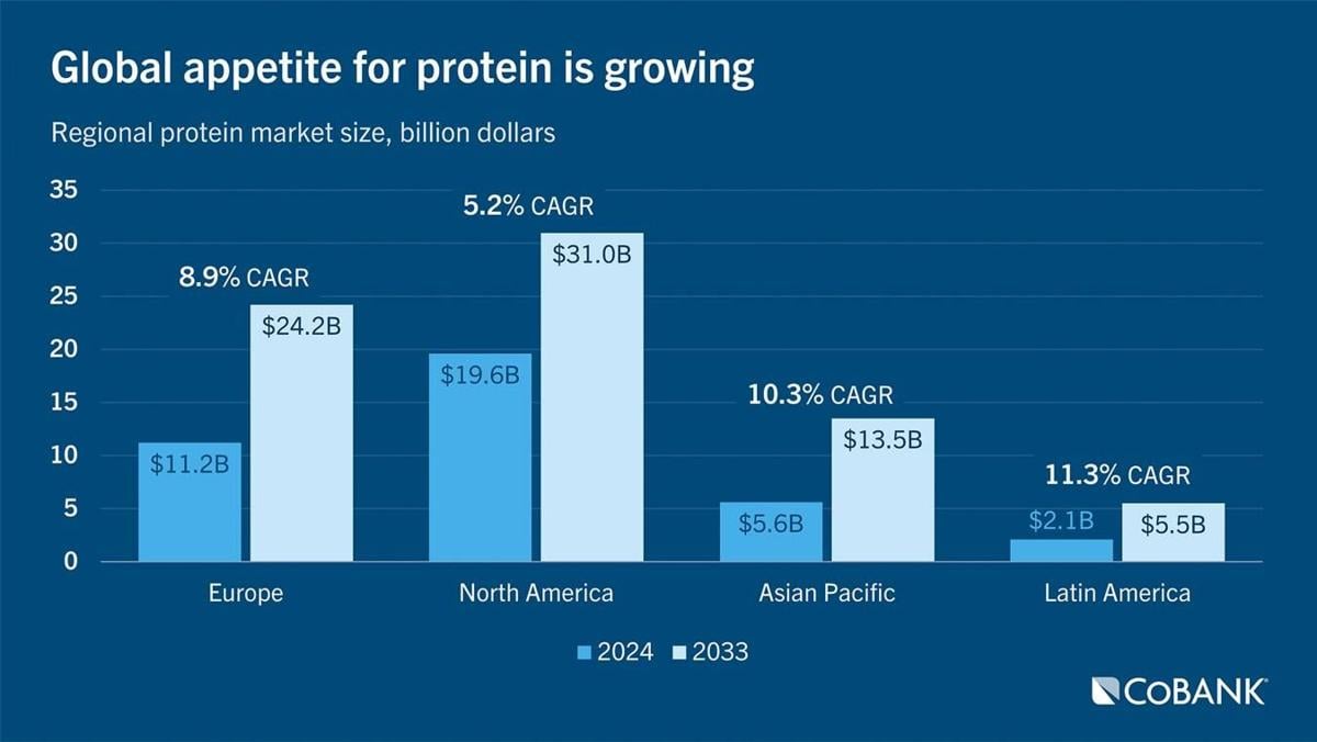 Protein