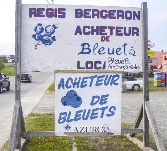 Signs
