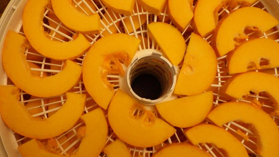 Squash